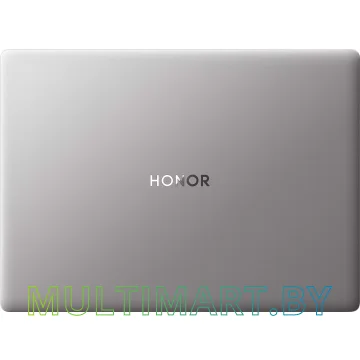 Ноутбук HONOR MagicBook X14 Lite GDG-X (5301ALWW) картинка 7